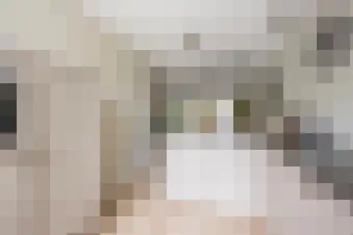 Dokter van de Kolkstraat 64 Nijkerkerveen thumbnail 9