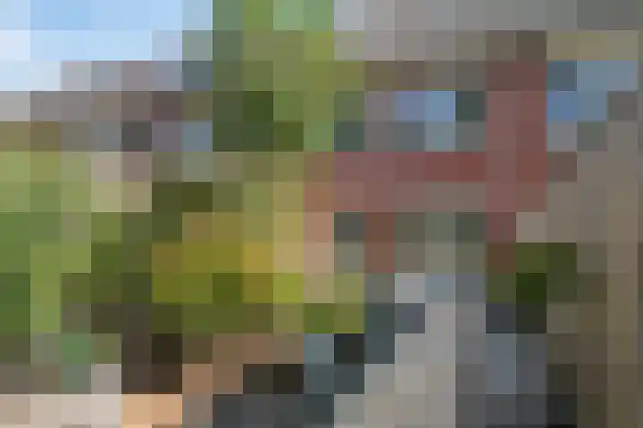 Dokter van de Kolkstraat 72 Nijkerkerveen thumbnail 23
