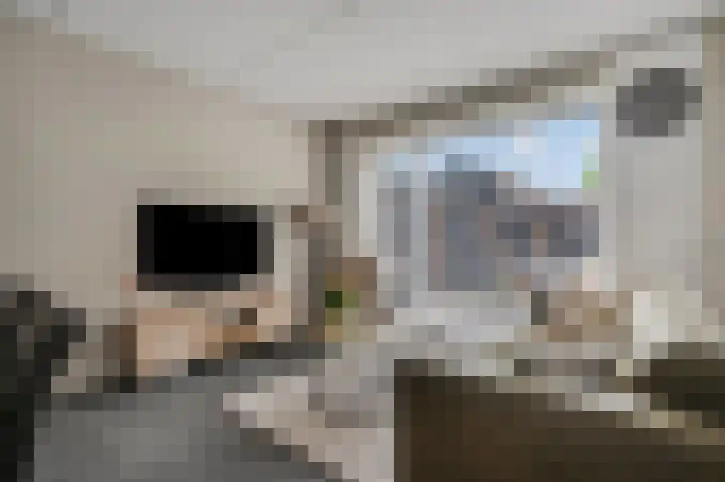 Dokter van de Kolkstraat 8 Nijkerkerveen thumbnail 10