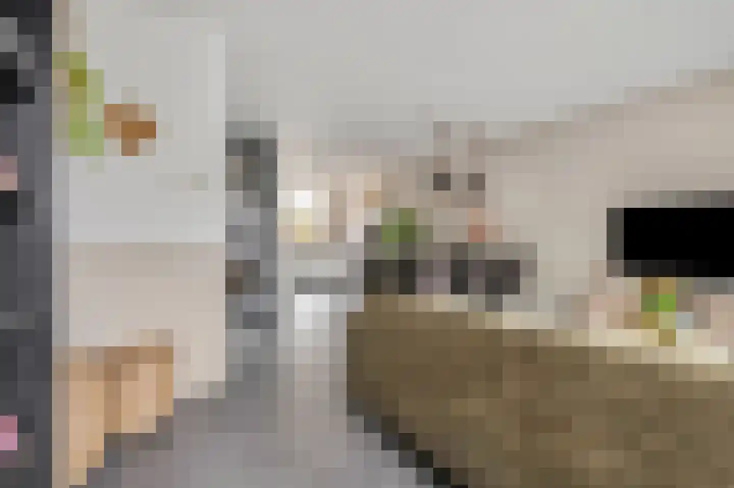Dokter van de Kolkstraat 8 Nijkerkerveen thumbnail 12