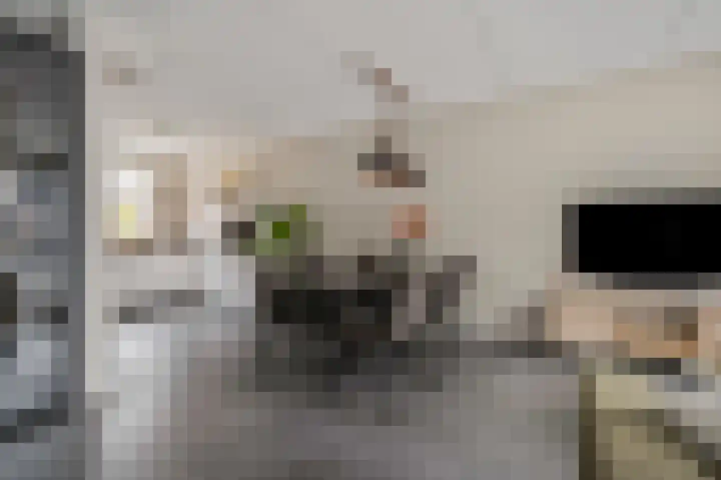 Dokter van de Kolkstraat 8 Nijkerkerveen thumbnail 13