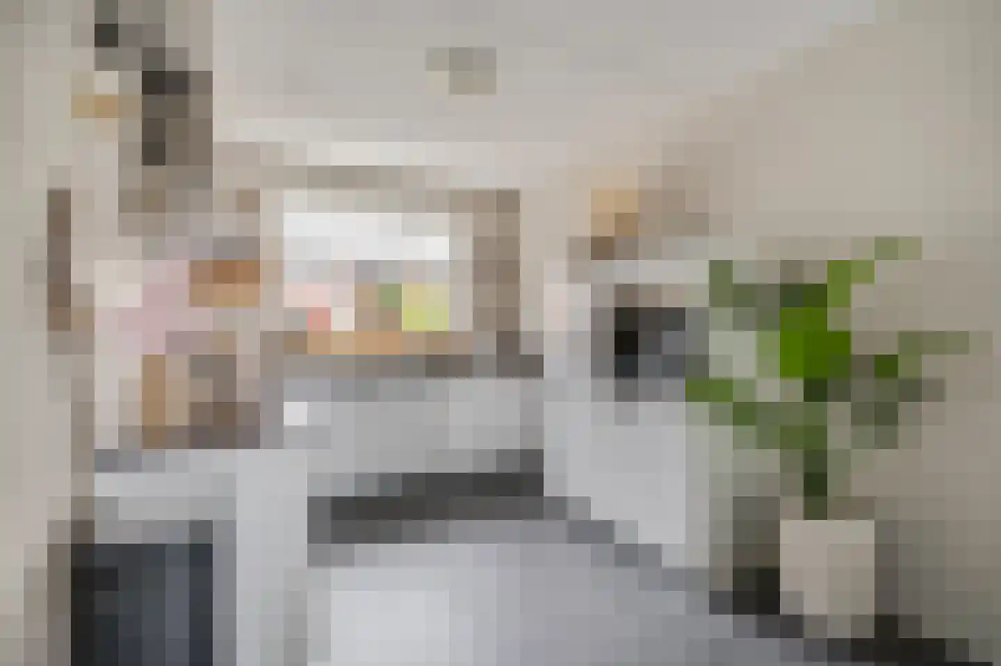 Dokter van de Kolkstraat 8 Nijkerkerveen thumbnail 14