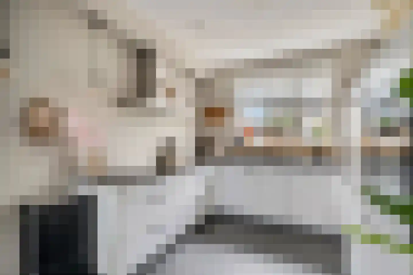 Dokter van de Kolkstraat 8 Nijkerkerveen thumbnail 15