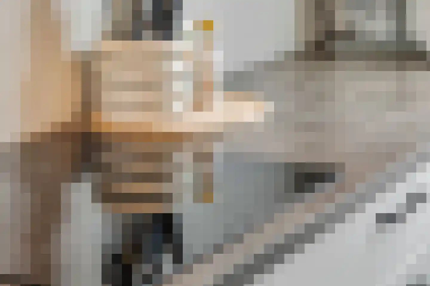 Dokter van de Kolkstraat 8 Nijkerkerveen thumbnail 16
