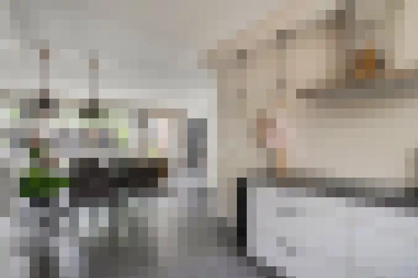 Dokter van de Kolkstraat 8 Nijkerkerveen thumbnail 17