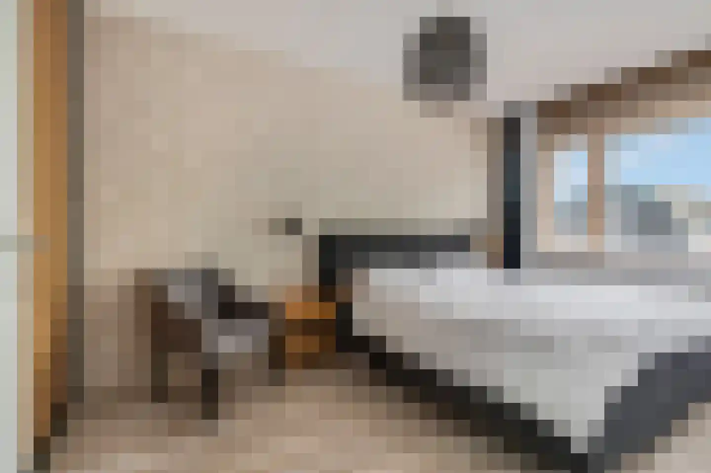 Dokter van de Kolkstraat 8 Nijkerkerveen thumbnail 19