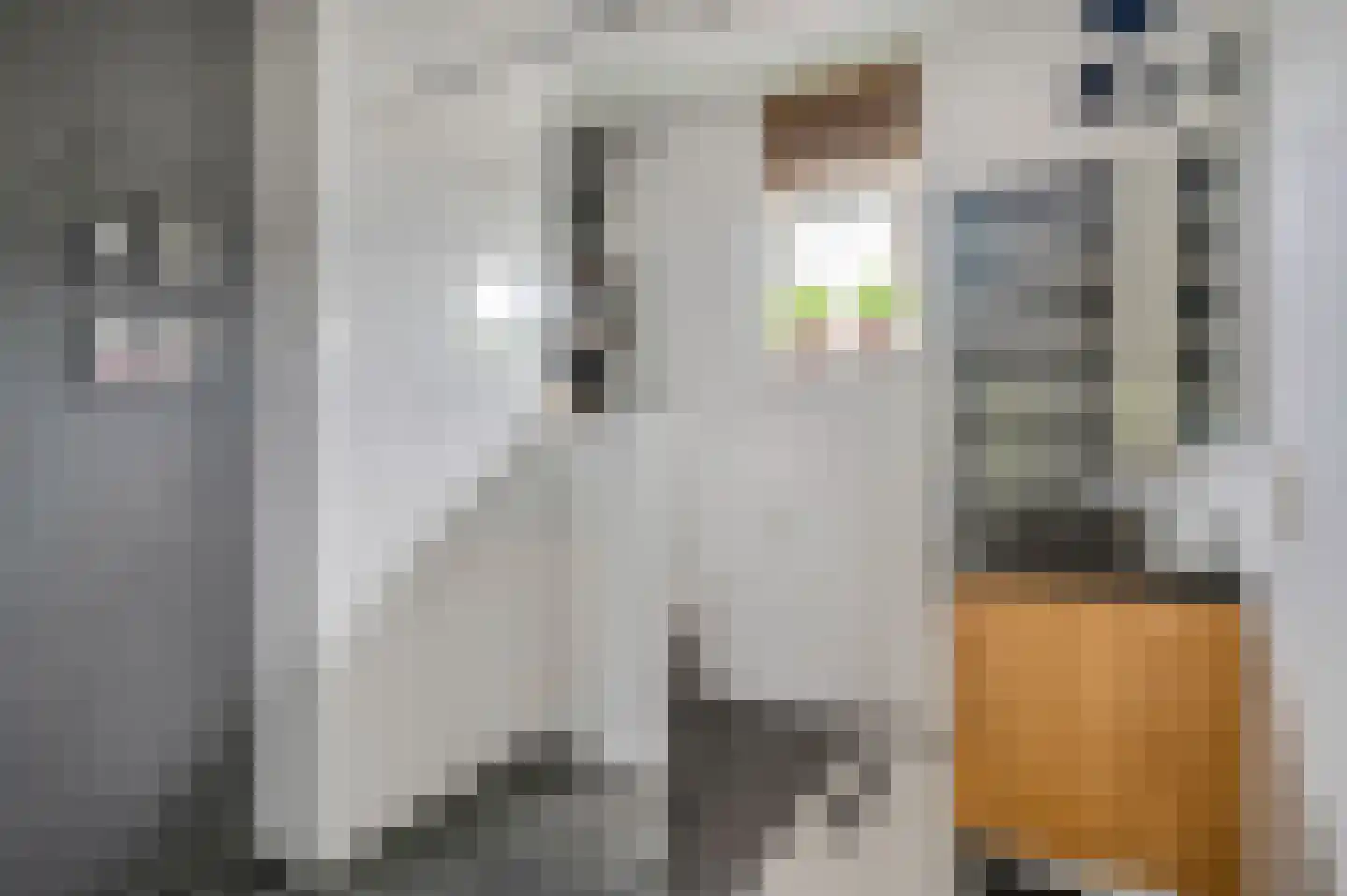 Dokter van de Kolkstraat 8 Nijkerkerveen thumbnail 25