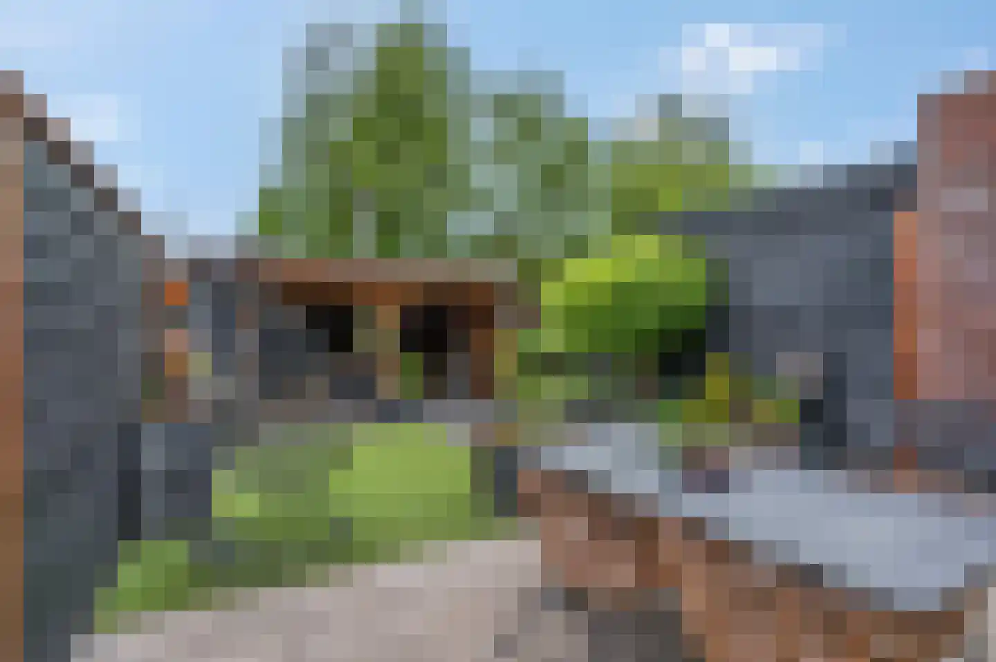 Dokter van de Kolkstraat 8 Nijkerkerveen thumbnail 29