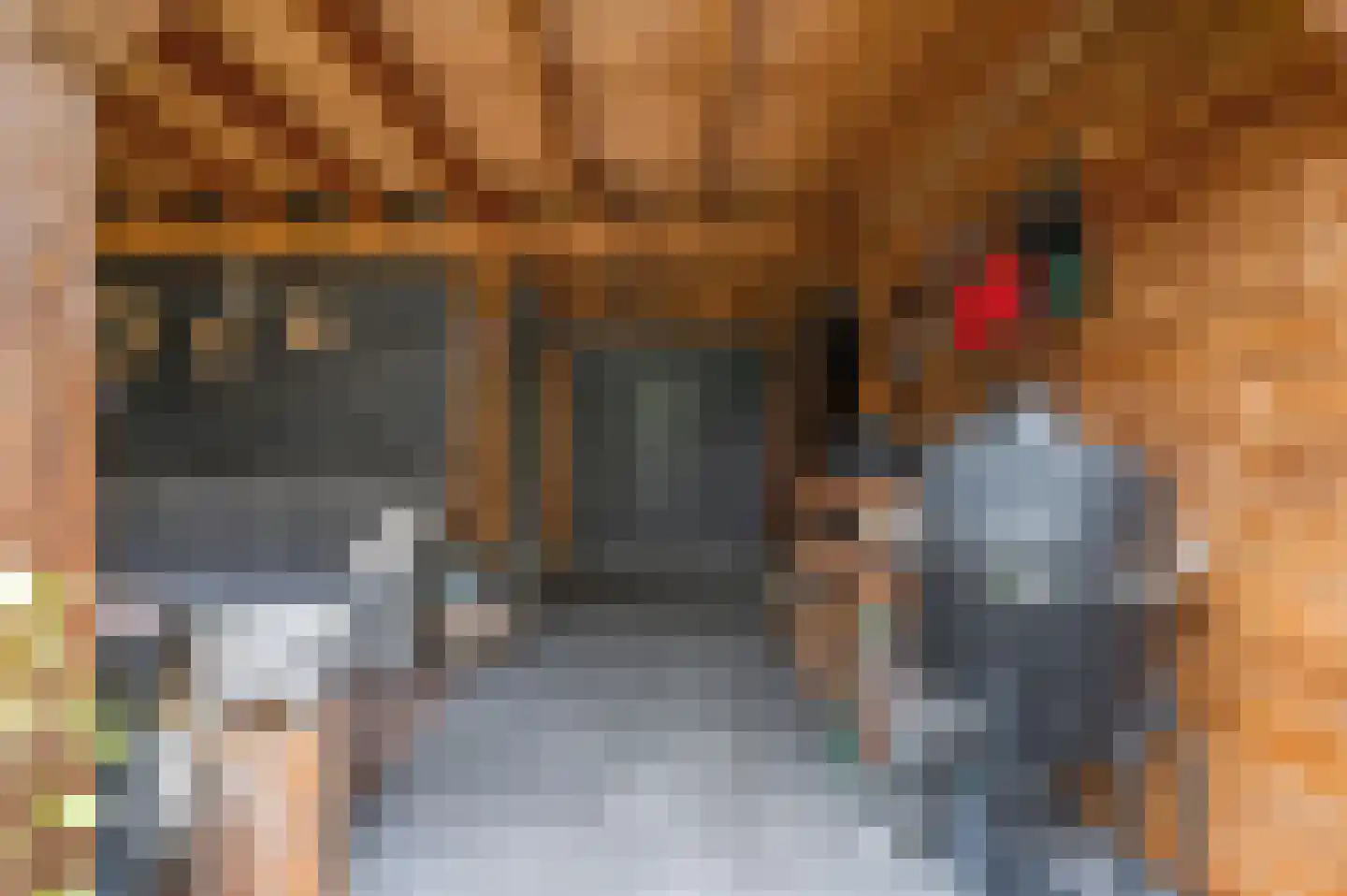 Dokter van de Kolkstraat 8 Nijkerkerveen thumbnail 32
