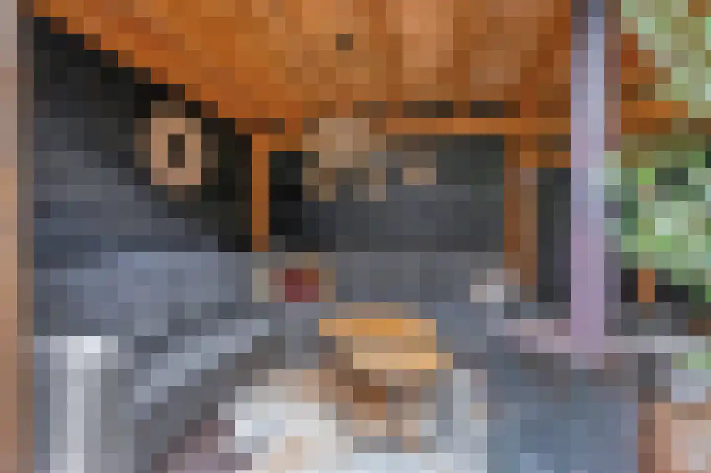 Dokter van de Kolkstraat 8 Nijkerkerveen thumbnail 4