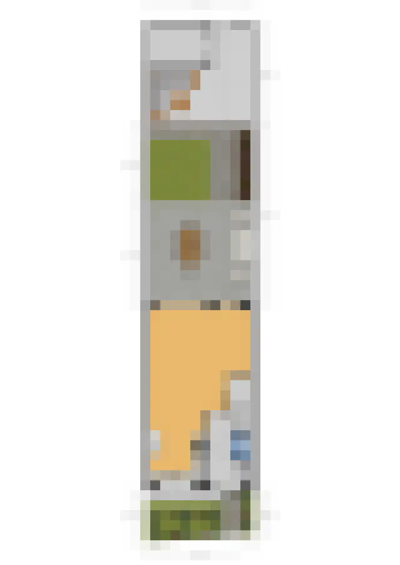 Dokter van de Kolkstraat 8 Nijkerkerveen thumbnail 43