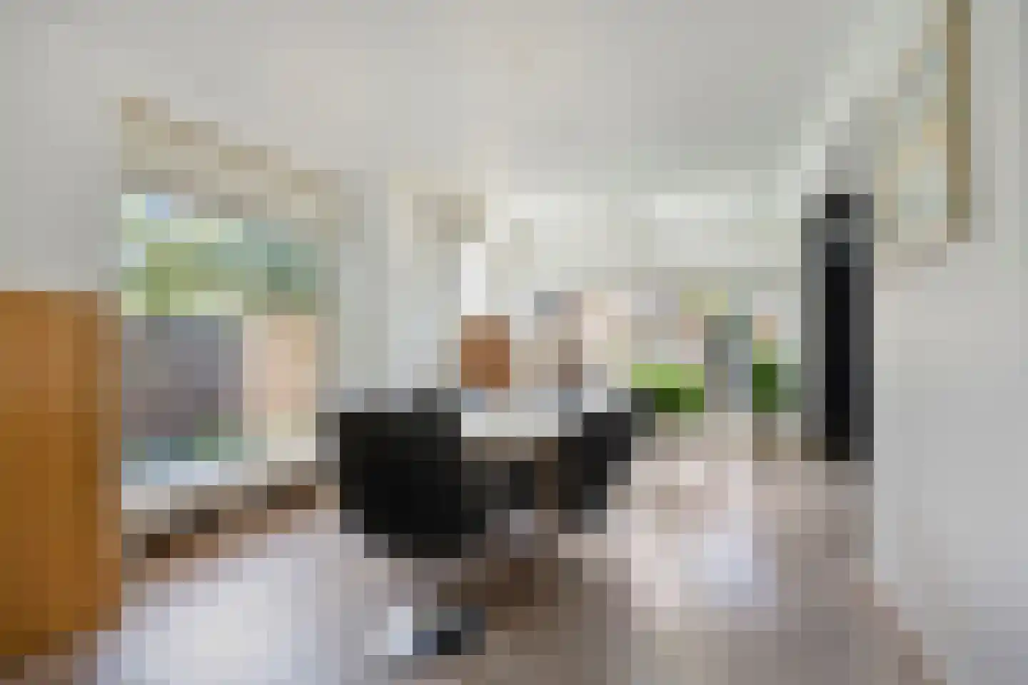 Dokter van der Knaaplaan 17 Rijswijk thumbnail 10