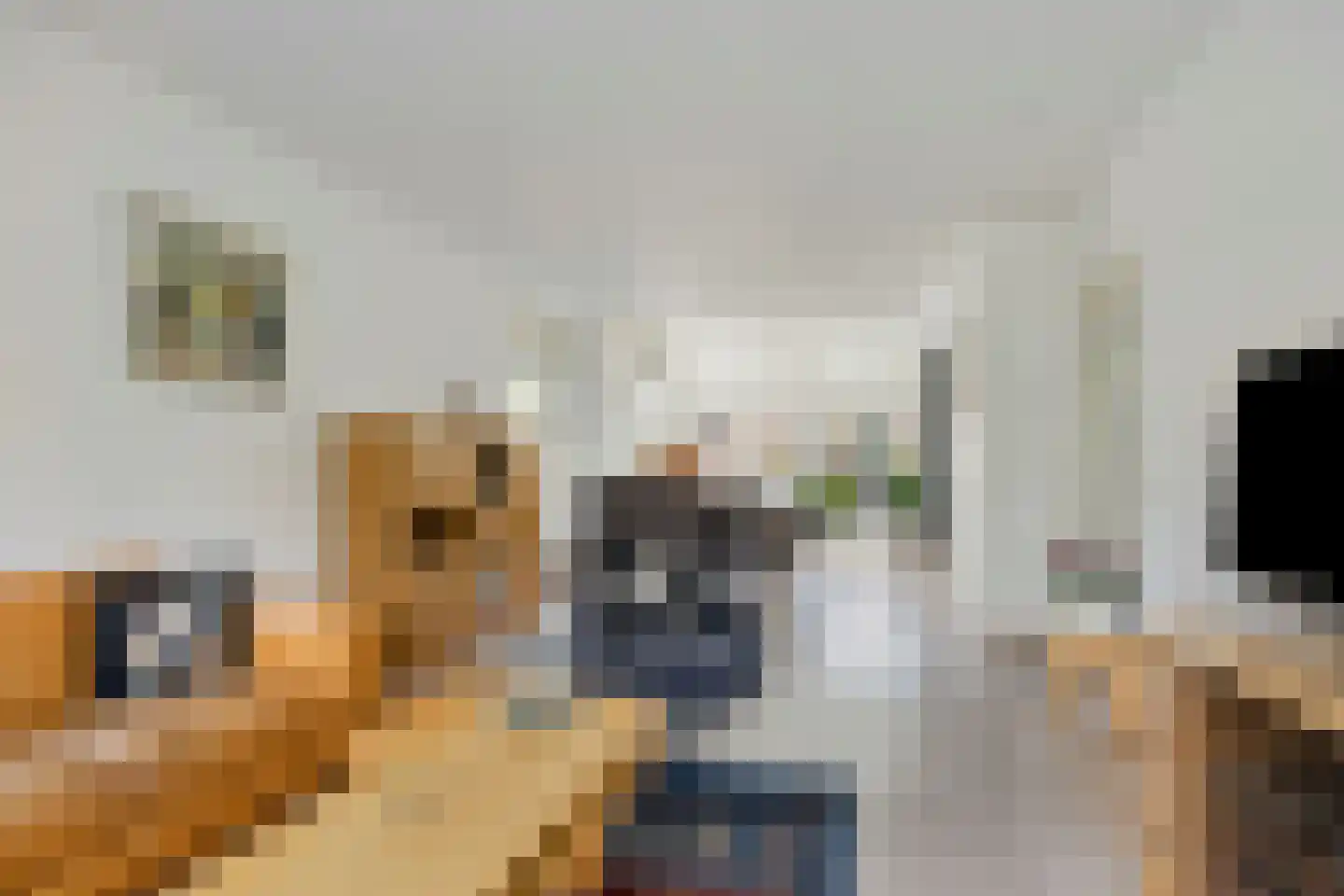 Dokter van der Knaaplaan 17 Rijswijk thumbnail 11