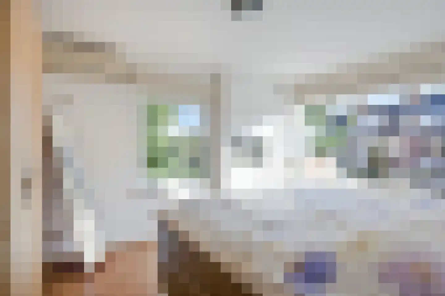 Dokter van der Knaaplaan 17 Rijswijk thumbnail 21