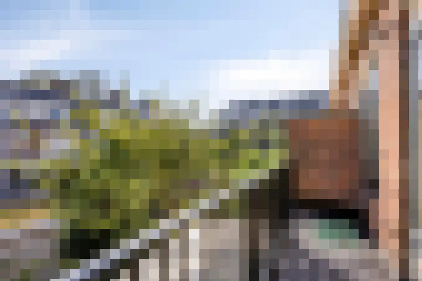 Dokter van der Knaaplaan 17 Rijswijk thumbnail 22