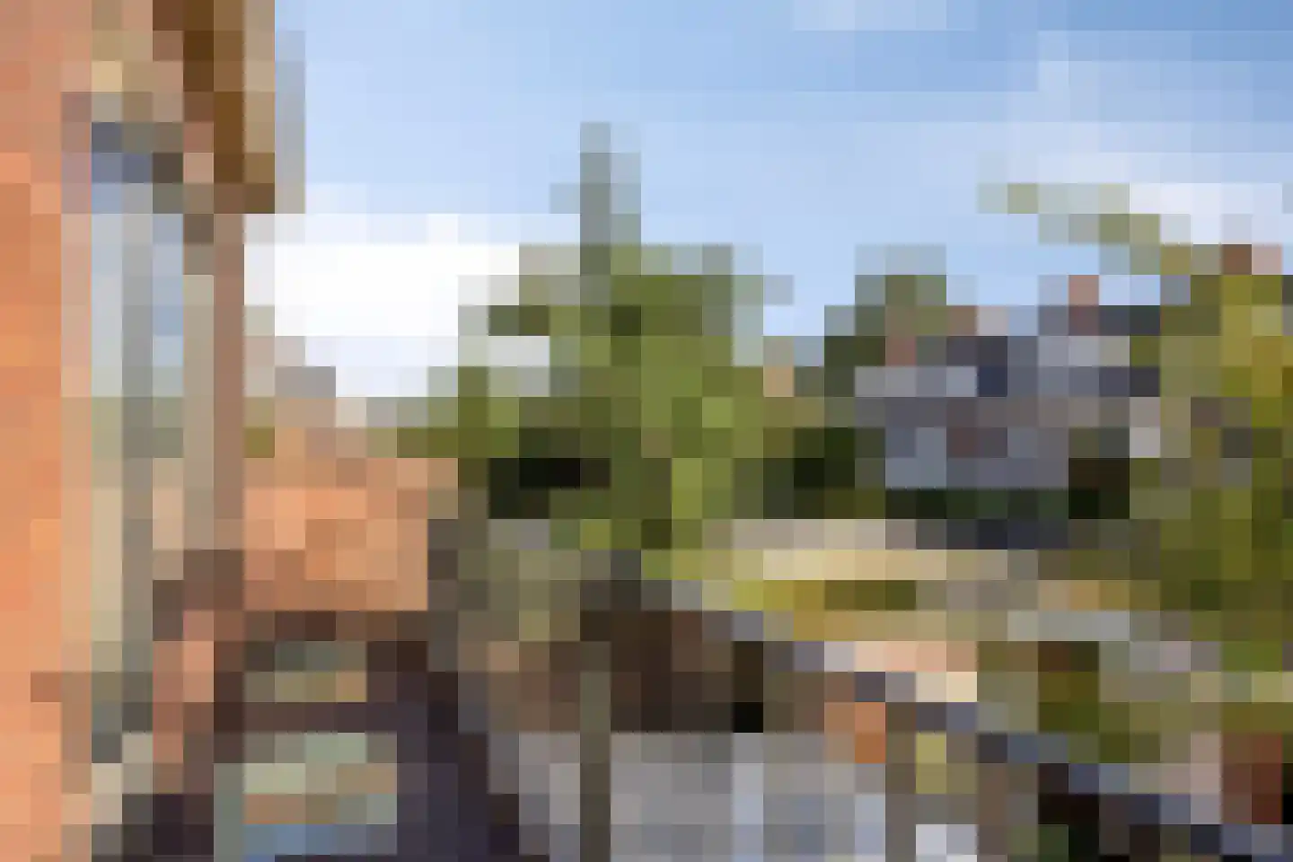 Dokter van der Knaaplaan 17 Rijswijk thumbnail 24