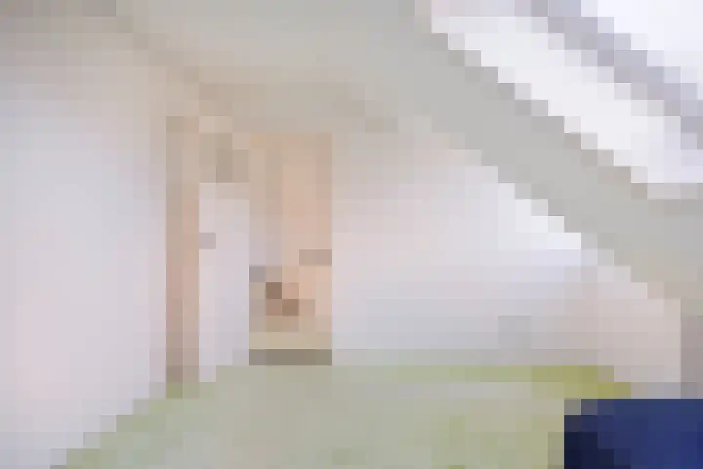 Dokter van der Knaaplaan 17 Rijswijk thumbnail 30