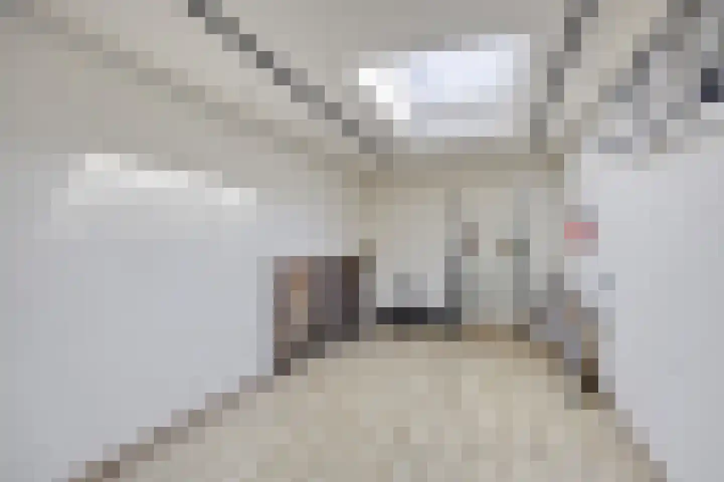 Dokter van der Knaaplaan 17 Rijswijk thumbnail 40