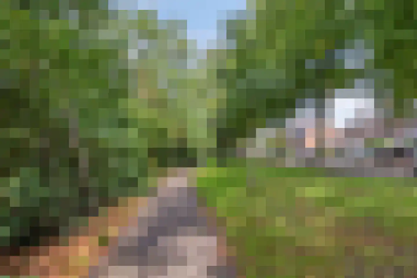 Dokter van der Knaaplaan 17 Rijswijk thumbnail 49