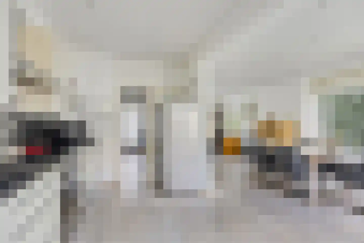 Dokter van der Knaaplaan 17 Rijswijk thumbnail 6