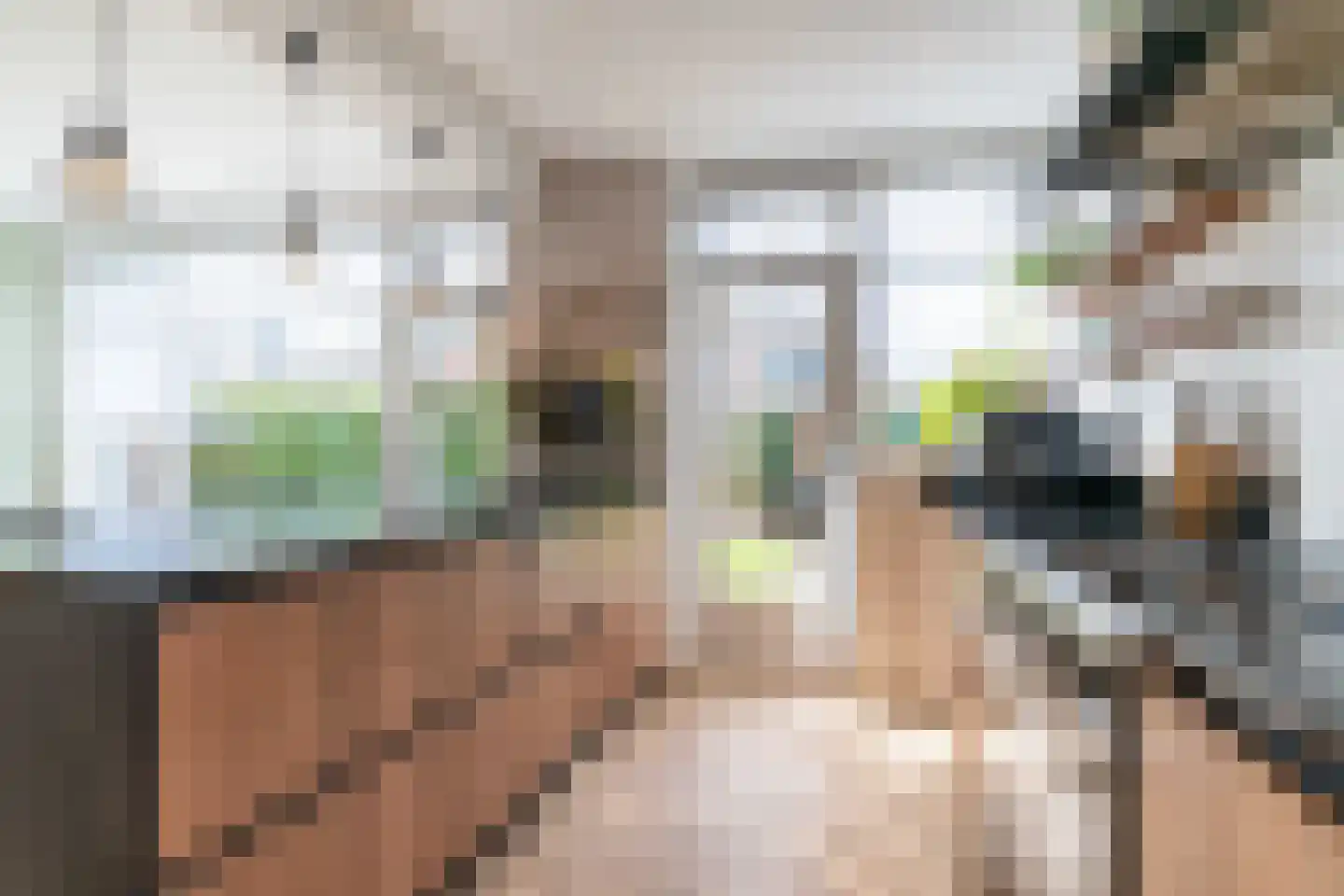 Dokter van der Knaaplaan 4 Rijswijk thumbnail 12