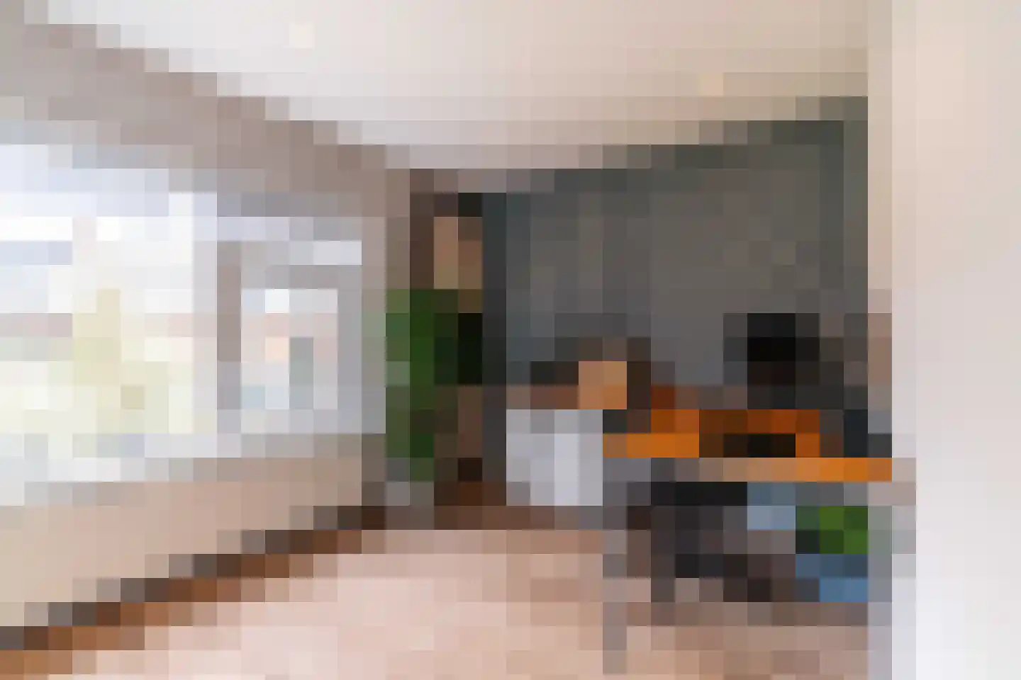 Dokter van der Knaaplaan 4 Rijswijk thumbnail 21