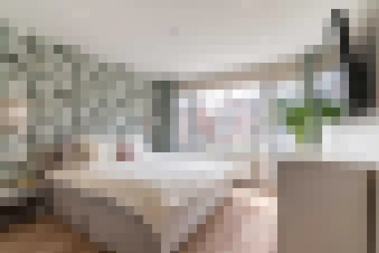 Dokter van der Knaaplaan 4 Rijswijk thumbnail 22