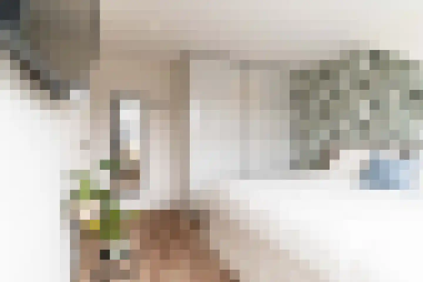 Dokter van der Knaaplaan 4 Rijswijk thumbnail 34