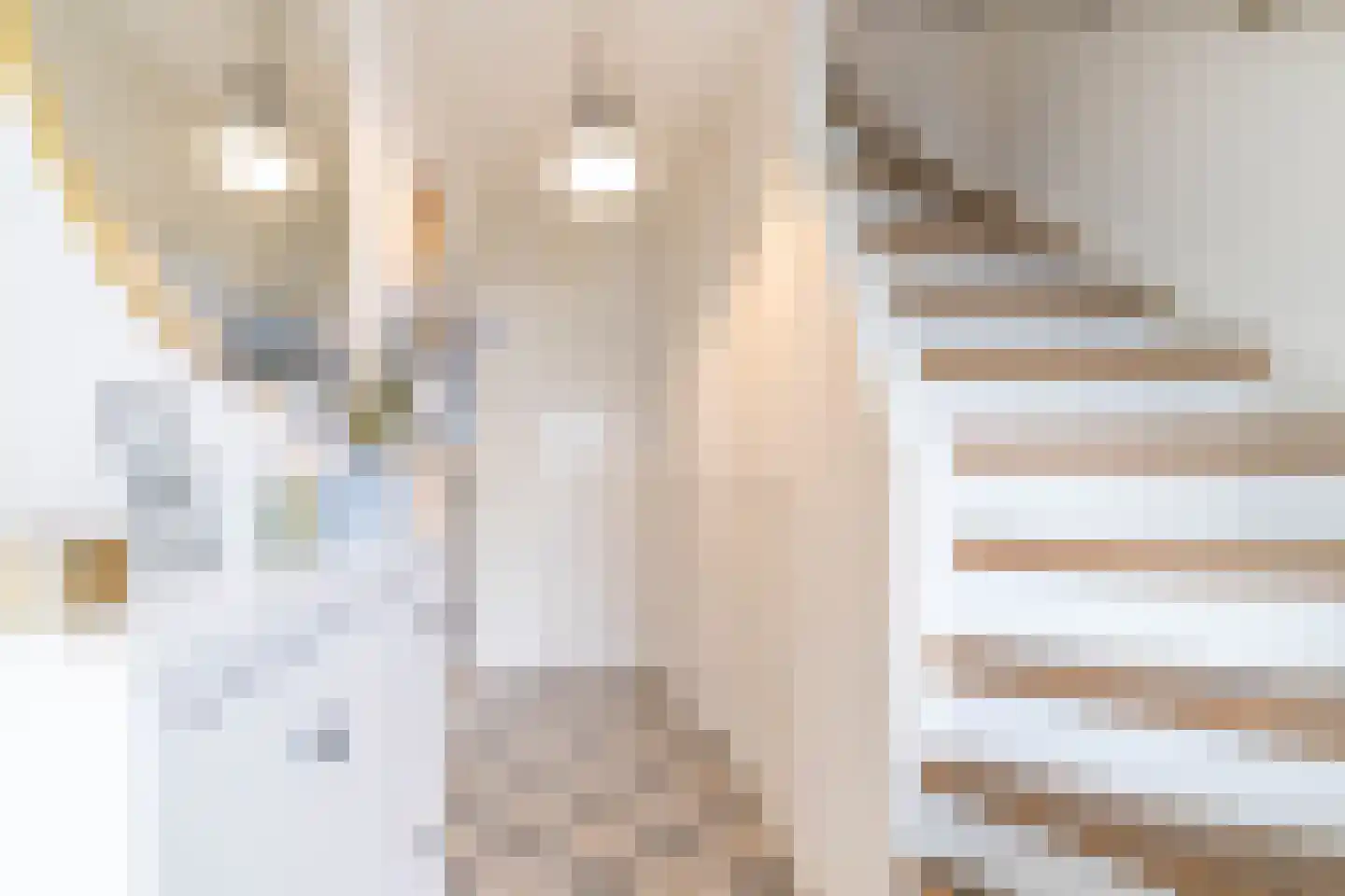Dokter van der Knaaplaan 4 Rijswijk thumbnail 6