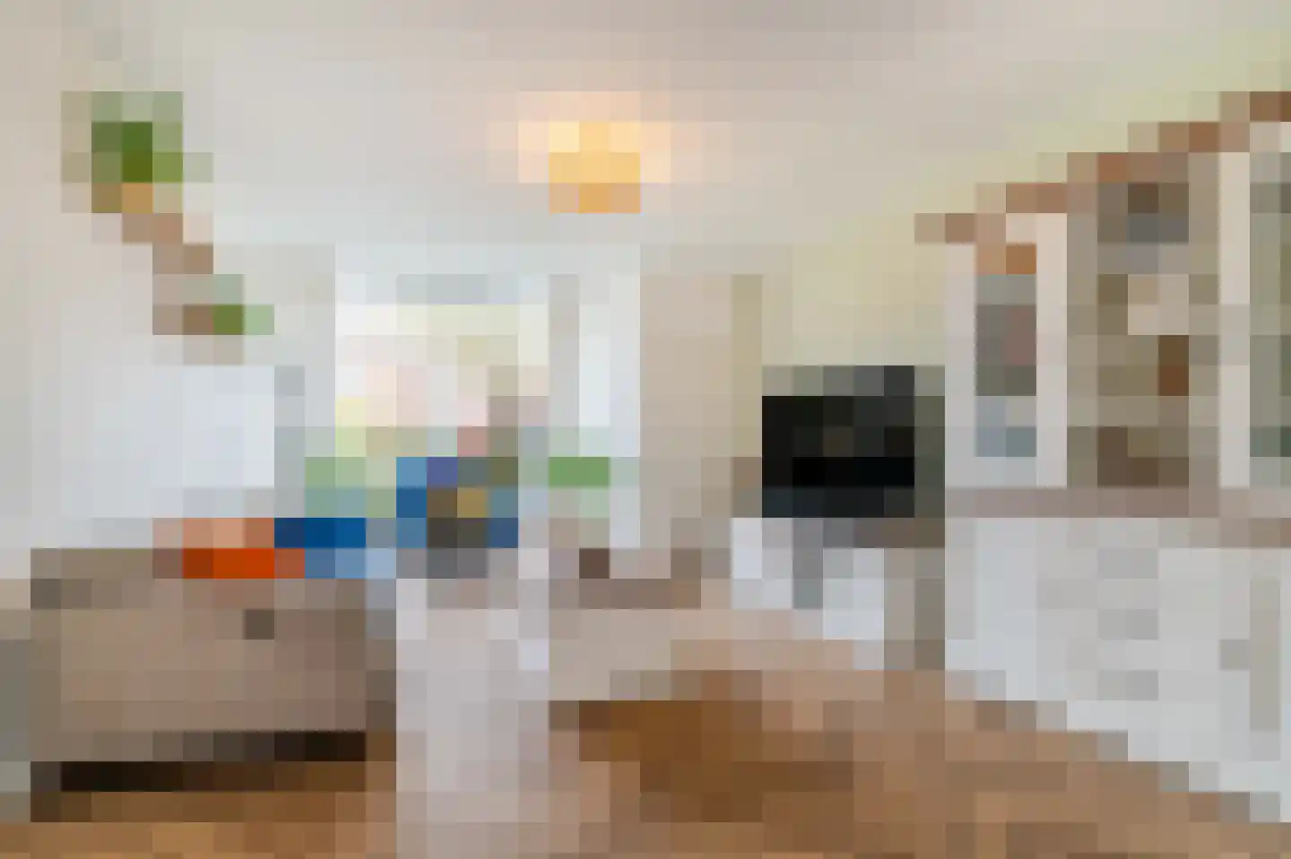 Dokter van der Knaaplaan 4 Rijswijk thumbnail 8
