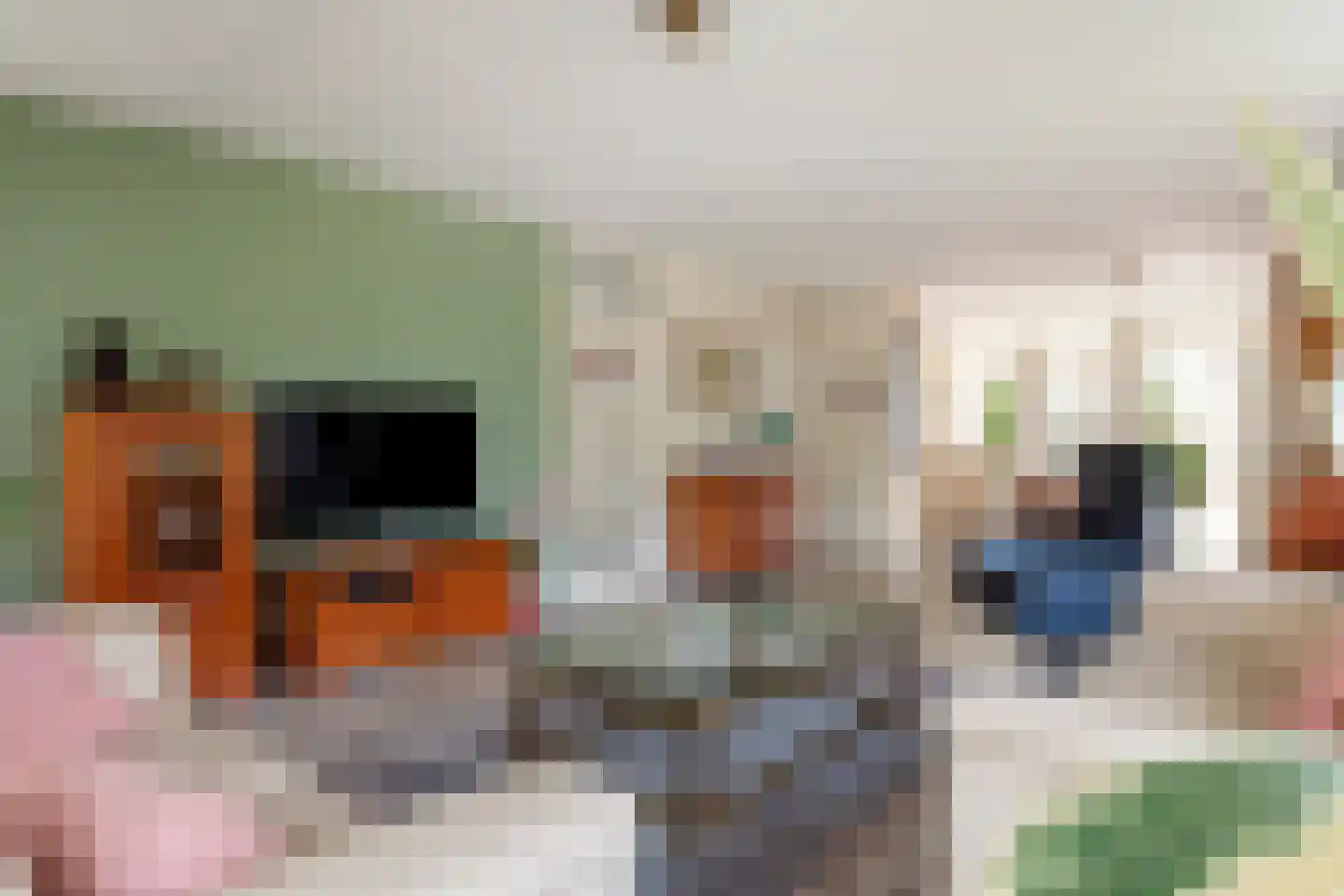 Dokter van der Koppelstraat 11 Ophemert thumbnail 15