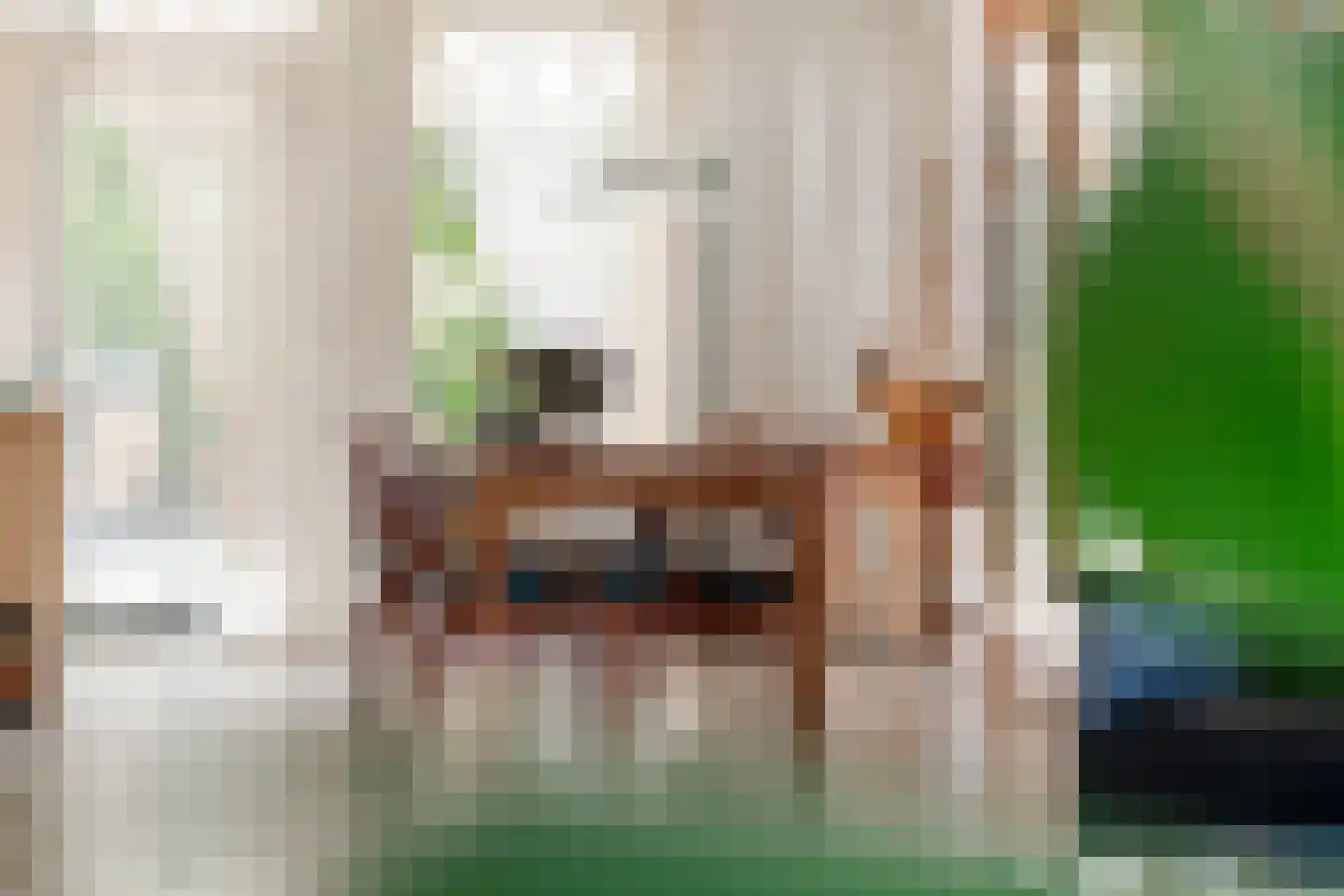 Dokter van der Koppelstraat 11 Ophemert thumbnail 17