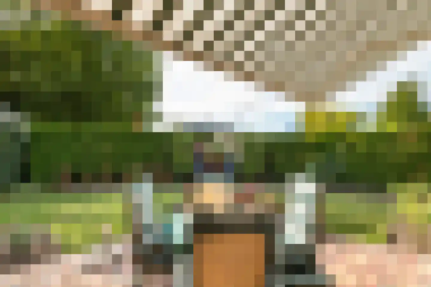 Dokter van der Koppelstraat 11 Ophemert thumbnail 30