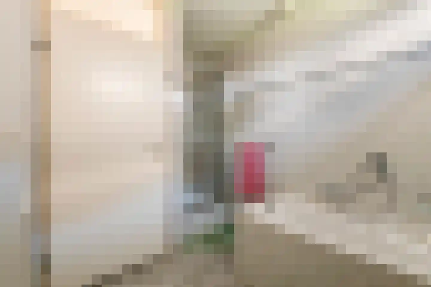 Dokter van der Koppelstraat 11 Ophemert thumbnail 33