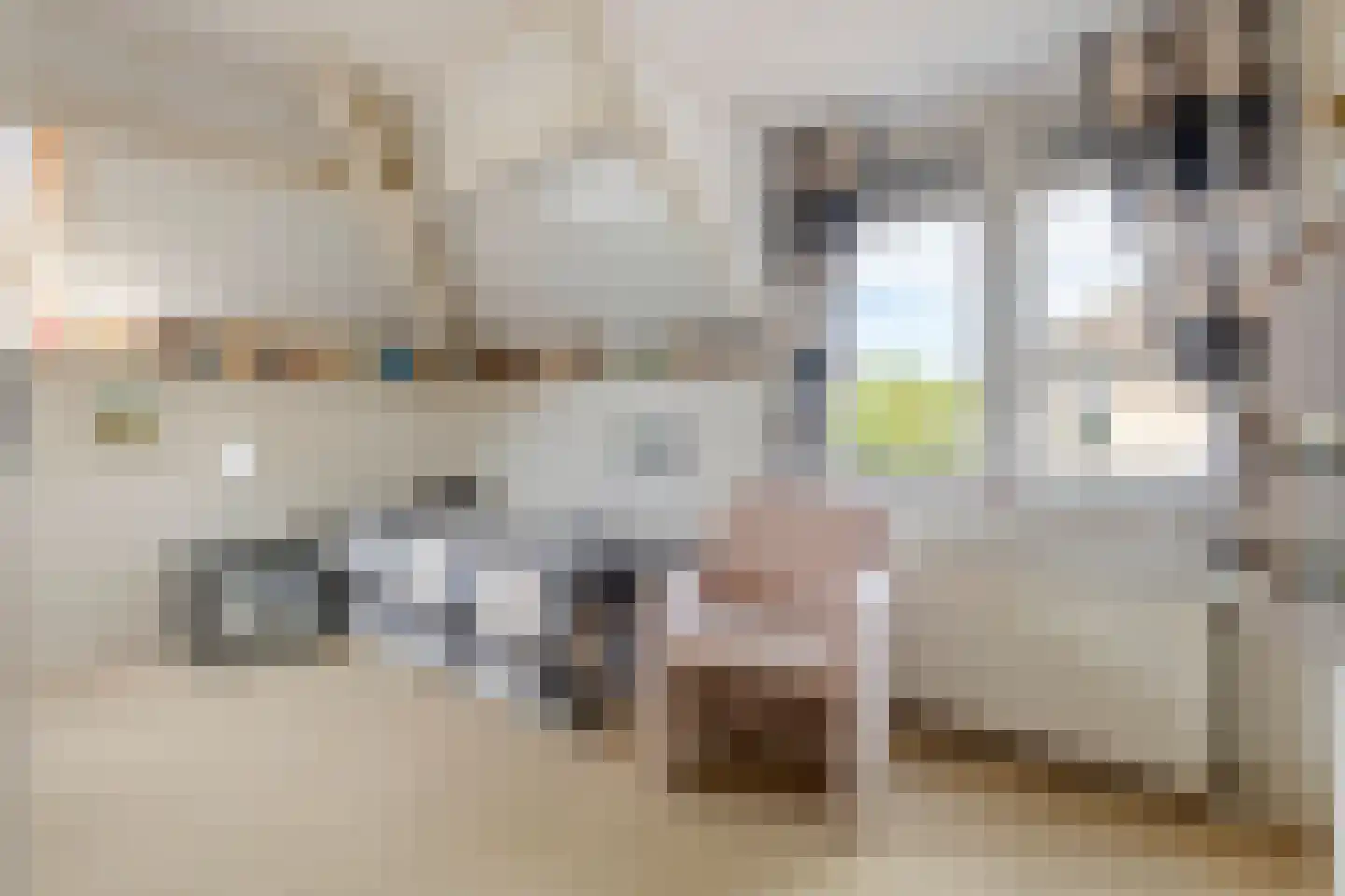 Dokter van der Koppelstraat 11 Ophemert thumbnail 38