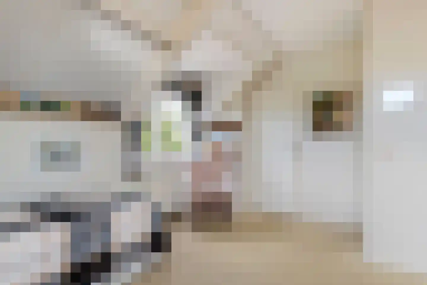 Dokter van der Koppelstraat 11 Ophemert thumbnail 40