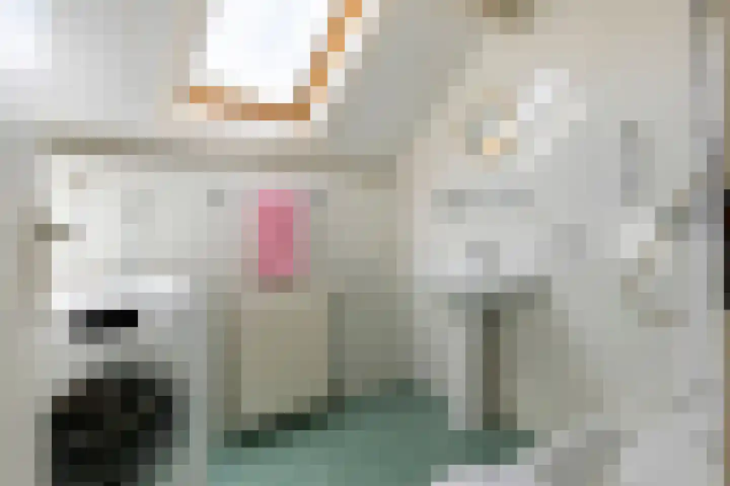 Dokter van der Koppelstraat 11 Ophemert thumbnail 41