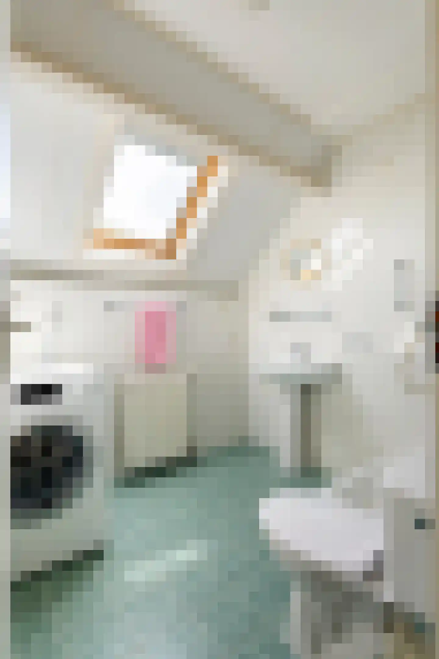Dokter van der Koppelstraat 11 Ophemert thumbnail 42