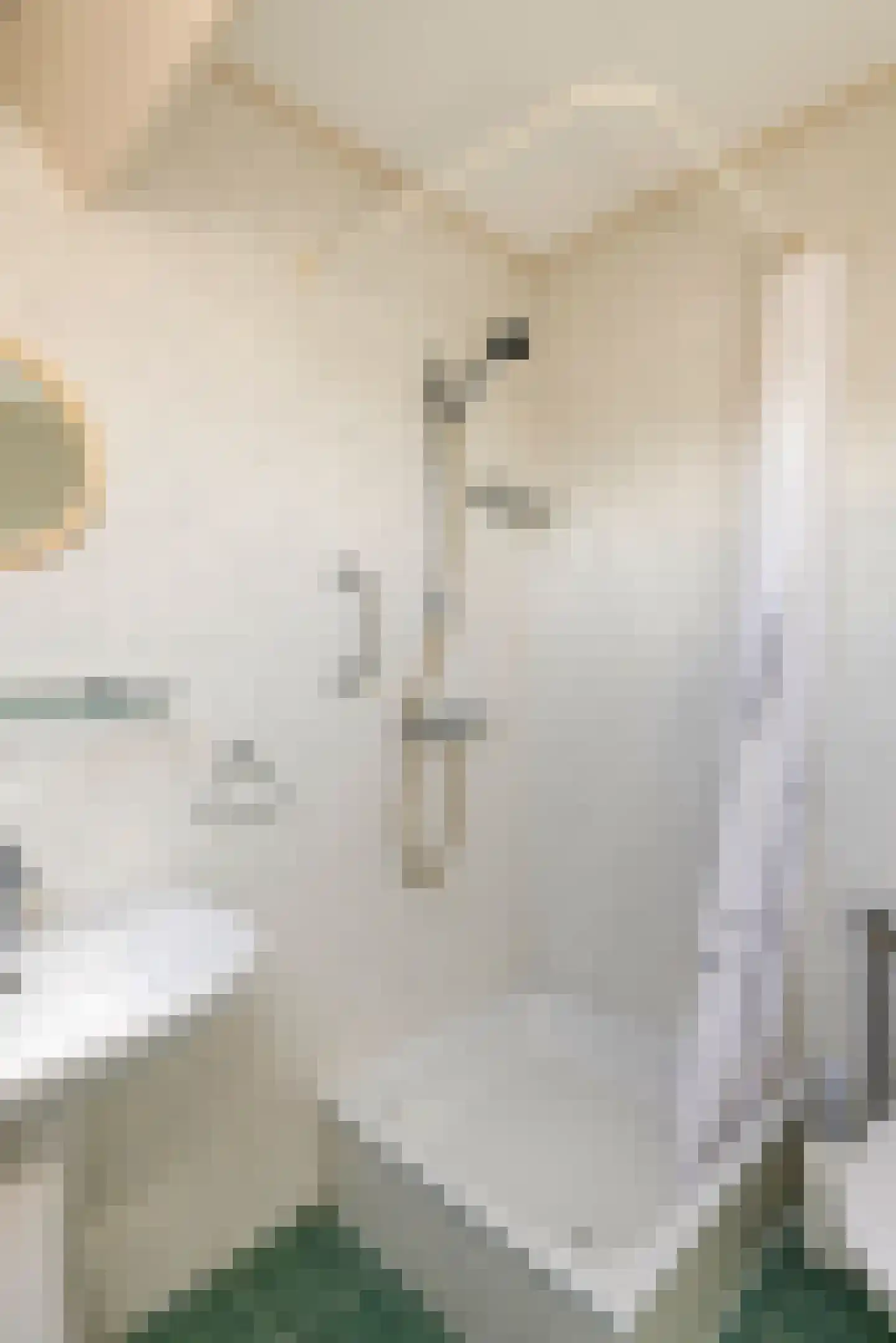 Dokter van der Koppelstraat 11 Ophemert thumbnail 43