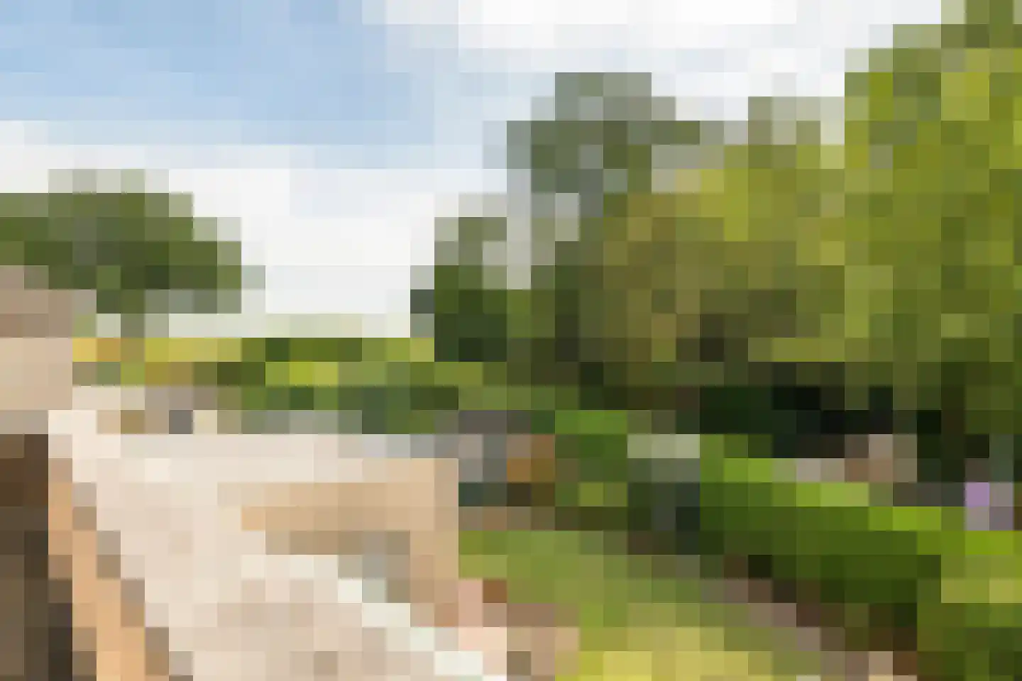 Dokter van der Koppelstraat 11 Ophemert thumbnail 47