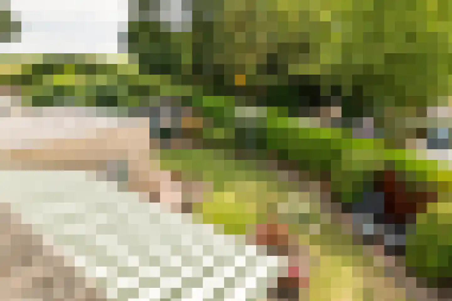 Dokter van der Koppelstraat 11 Ophemert thumbnail 48