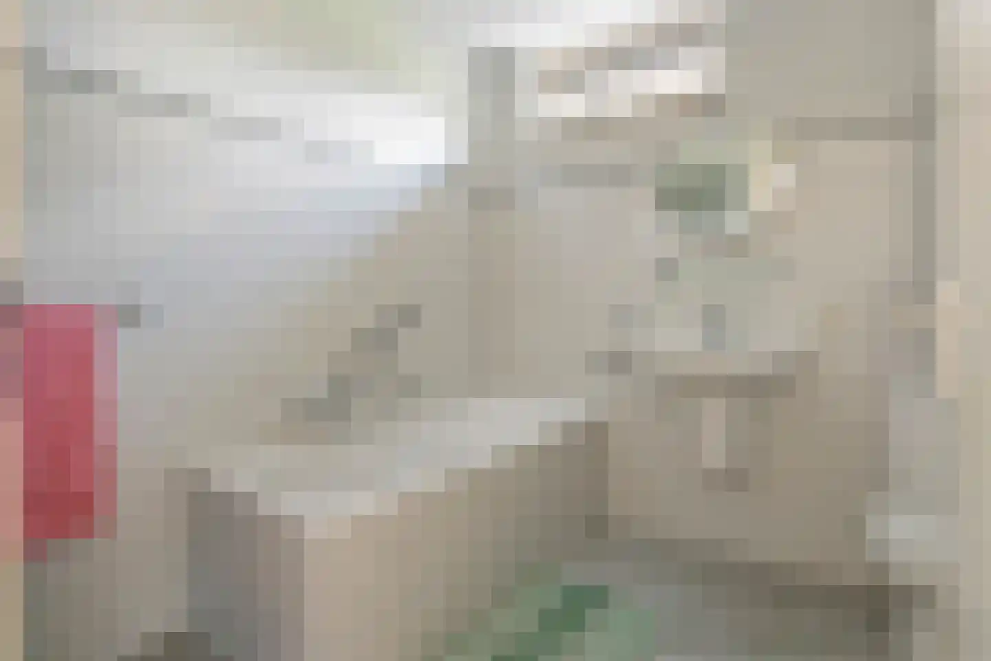 Dokter van der Koppelstraat 11 Ophemert thumbnail 5