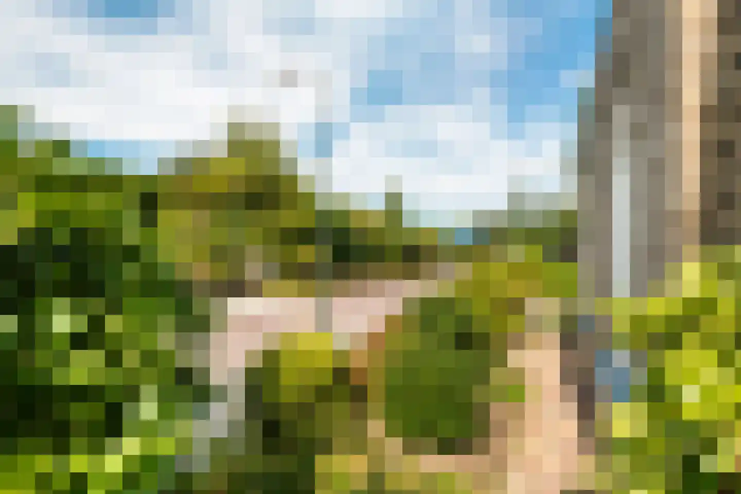 Dokter van der Koppelstraat 11 Ophemert thumbnail 52