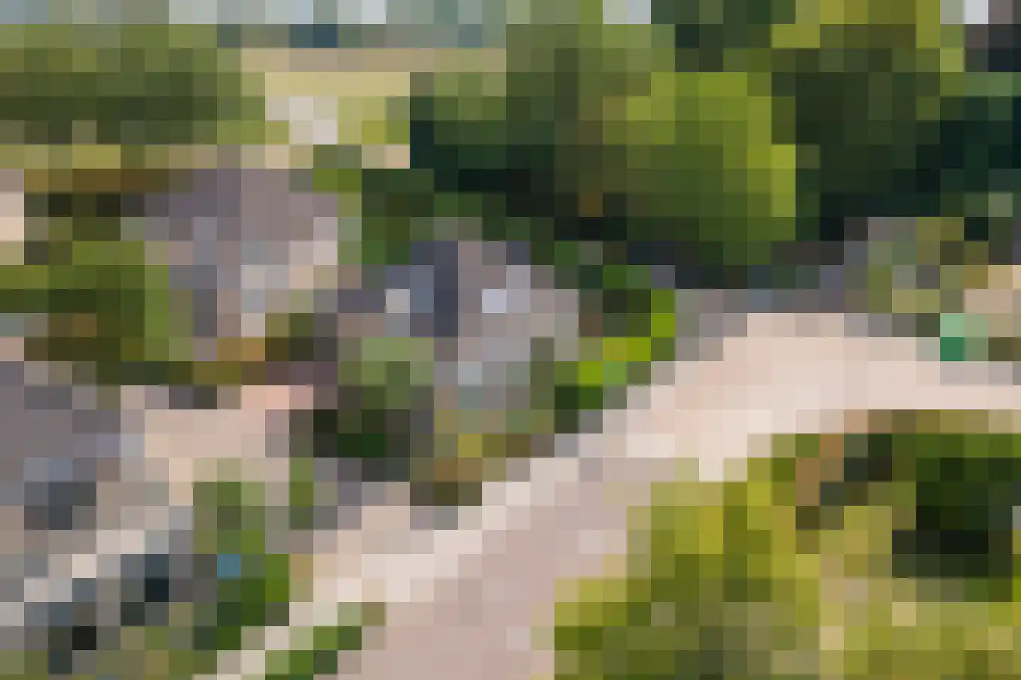 Dokter van der Koppelstraat 11 Ophemert thumbnail 55