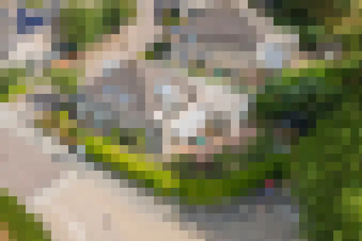 Dokter van der Koppelstraat 11 Ophemert thumbnail 58