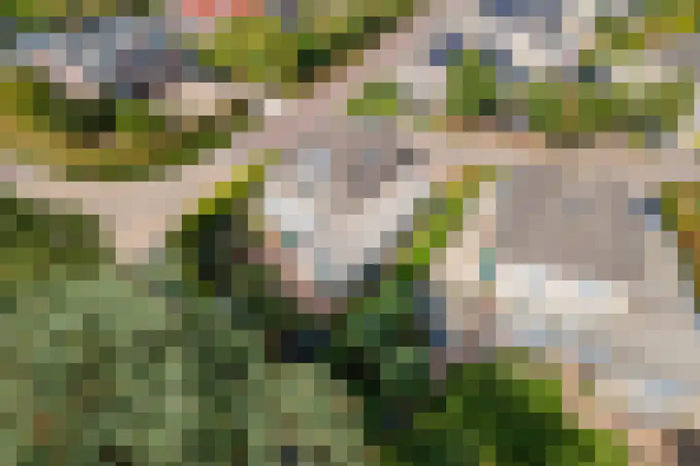 Dokter van der Koppelstraat 11 Ophemert thumbnail 60