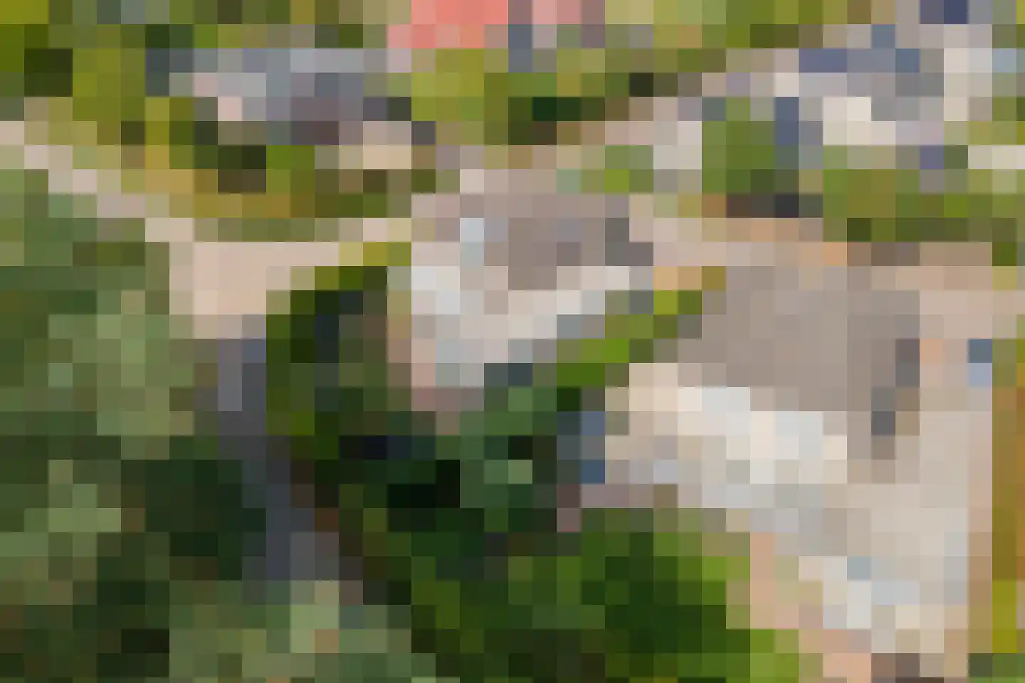 Dokter van der Koppelstraat 11 Ophemert thumbnail 61