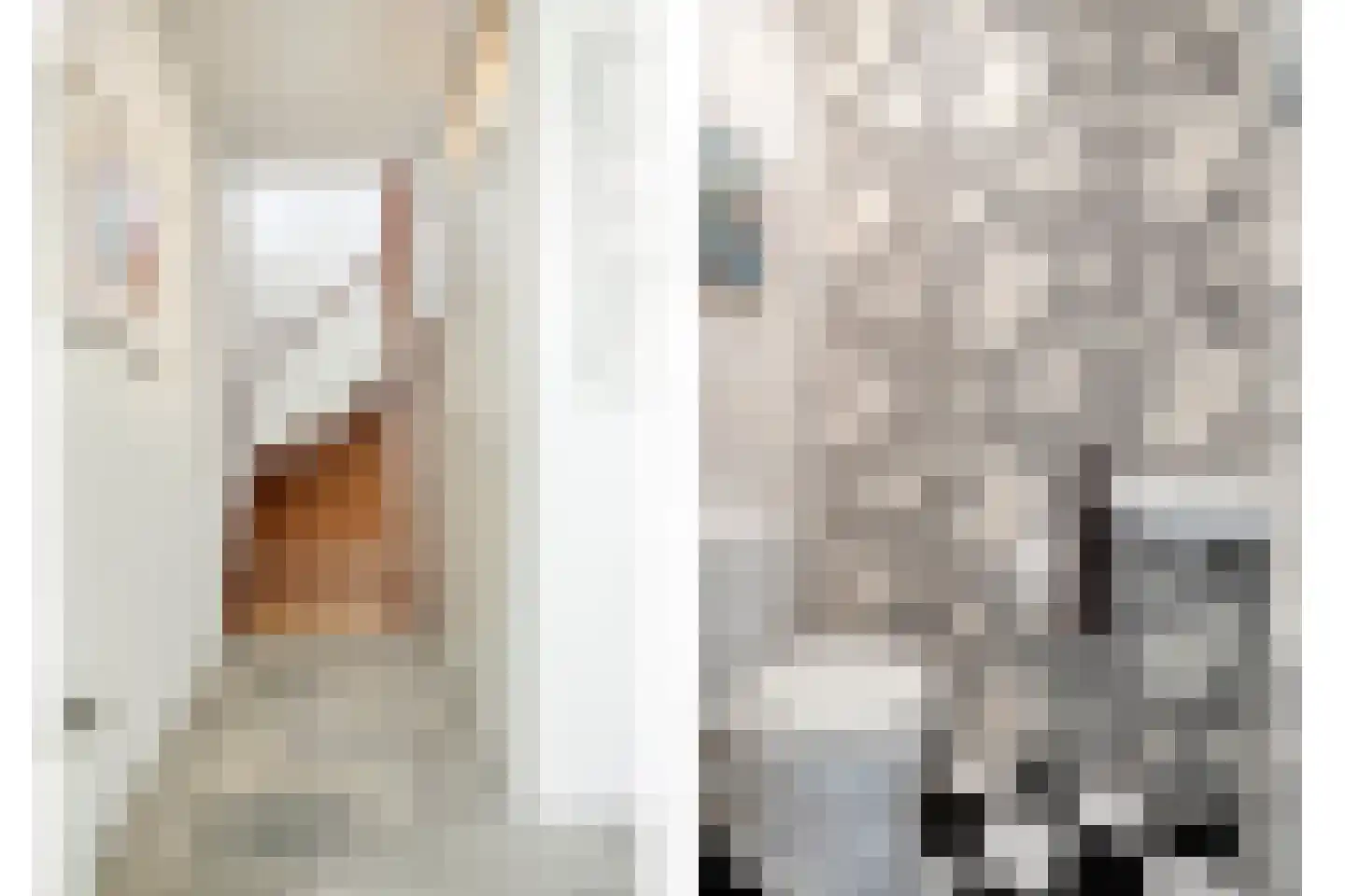 Dokter van der Koppelstraat 3 Ophemert thumbnail 13