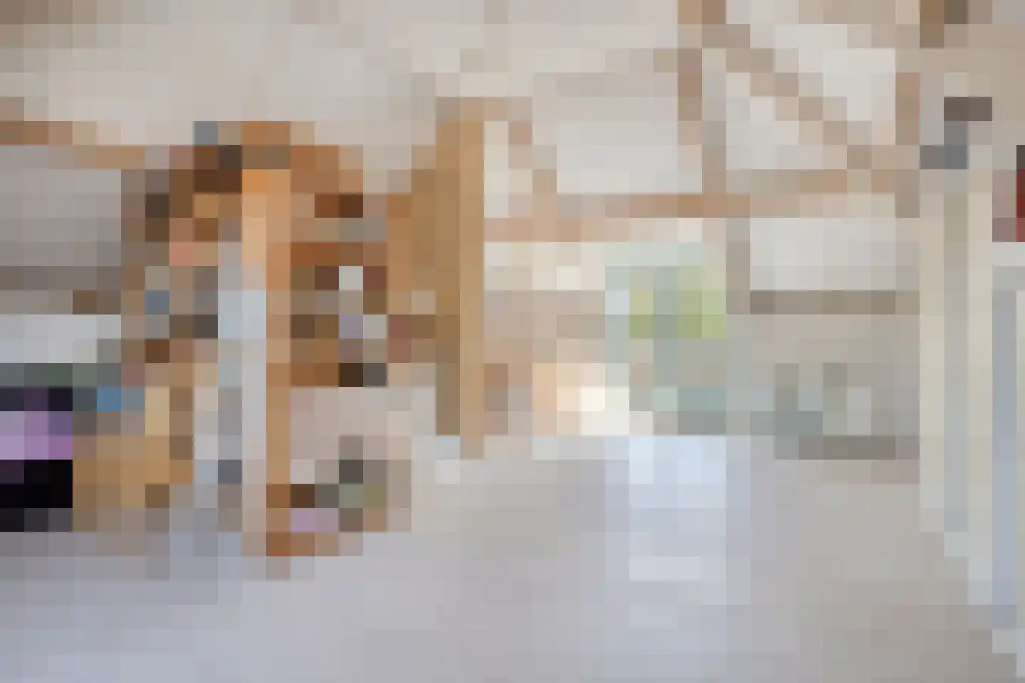 Dokter van der Koppelstraat 3 Ophemert thumbnail 21