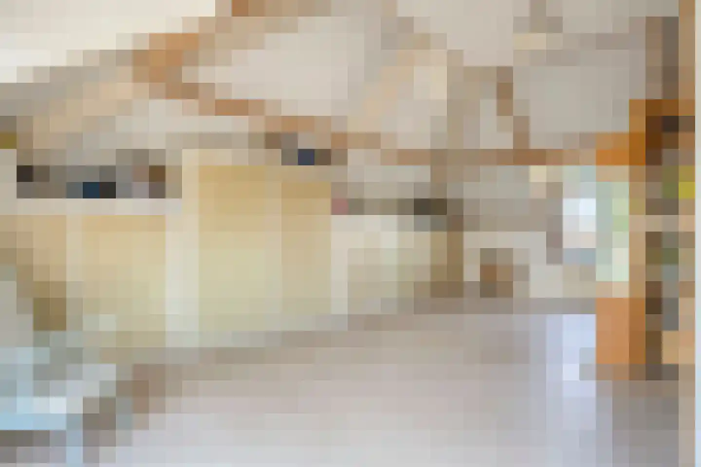 Dokter van der Koppelstraat 3 Ophemert thumbnail 22